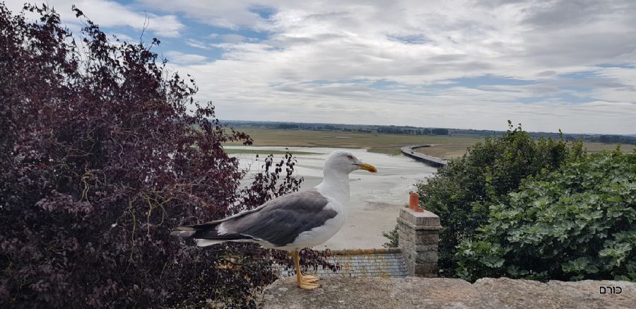 מונט סן-מישל